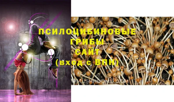 мескалин Алексин