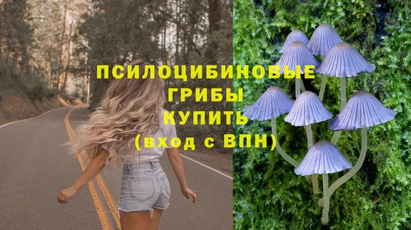 мескалин Алексин